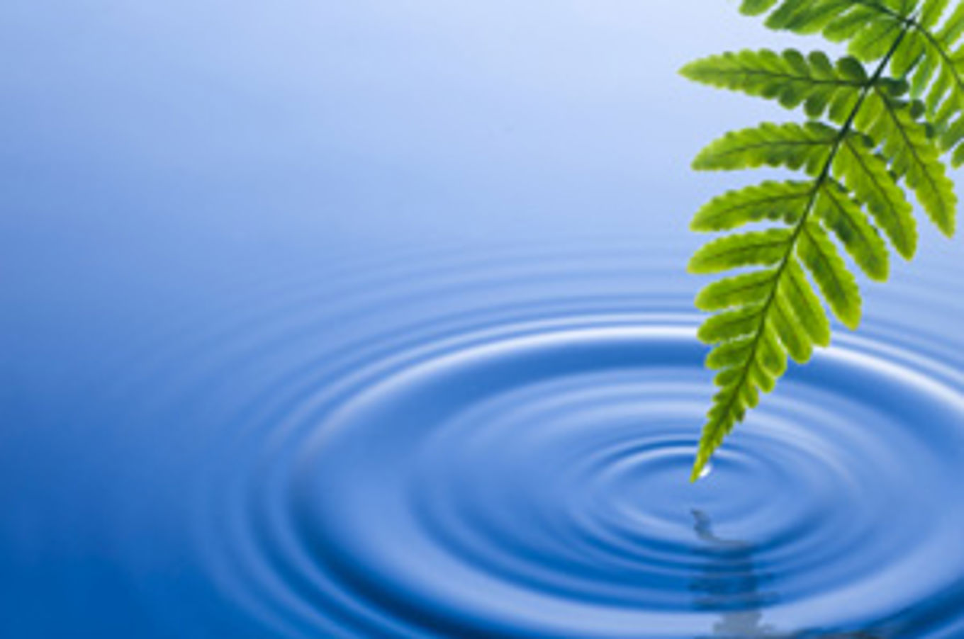 Foto: ringer i vann ringer i vann